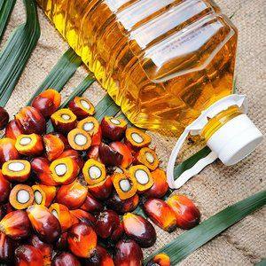 Palm oil
