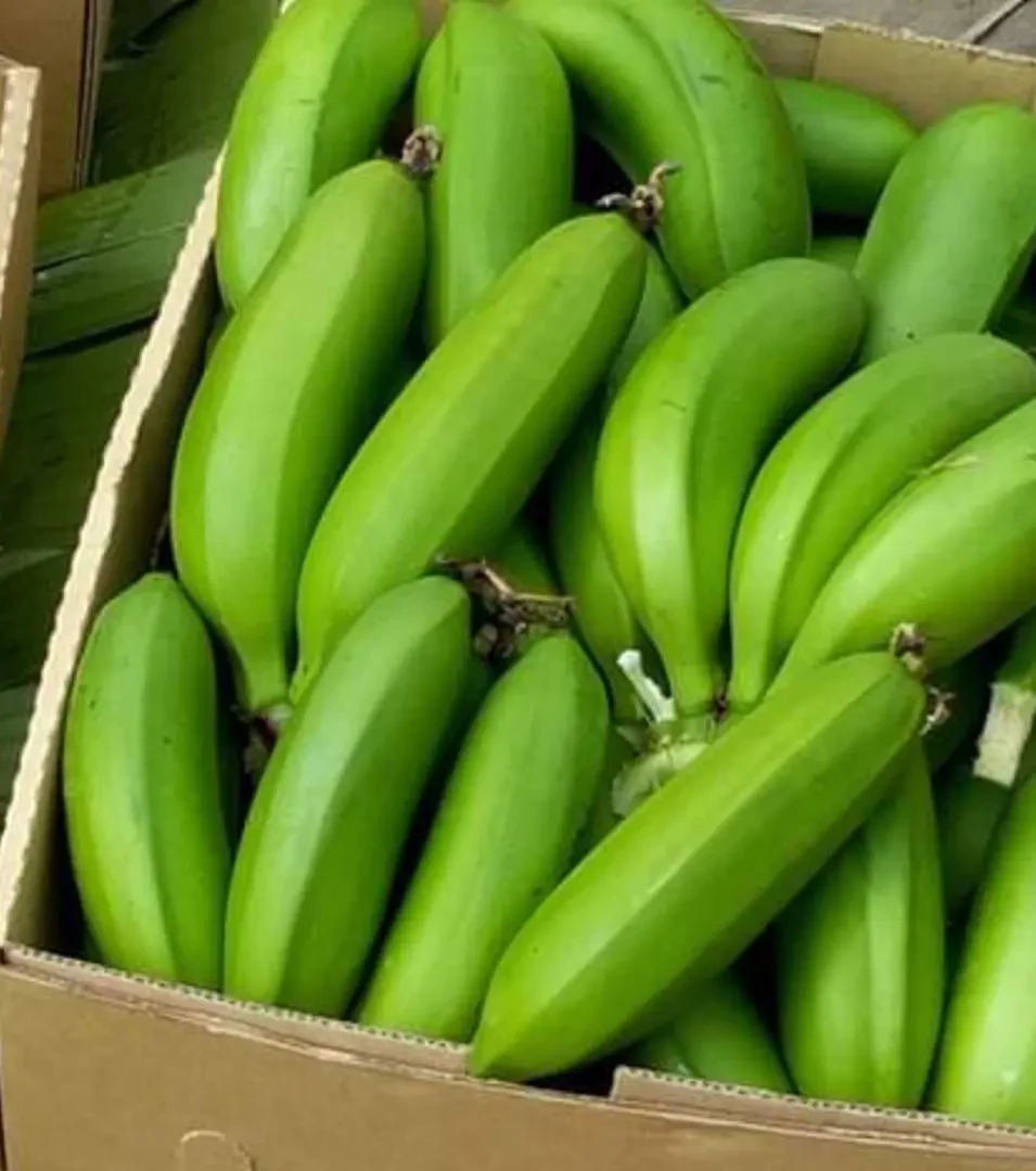 Matooke (Green bananas) (Per kg)